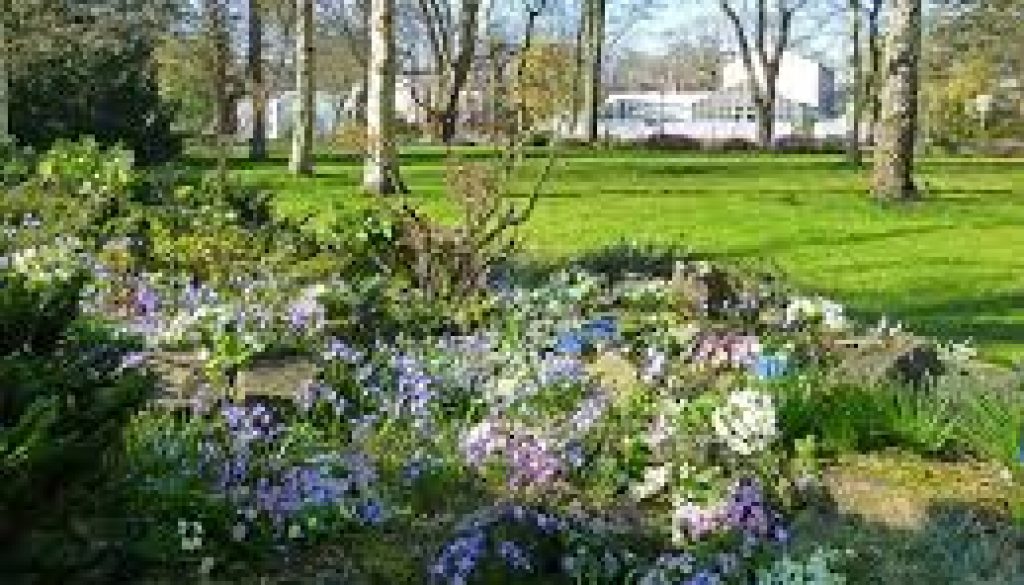 Botanische Tuin Delft